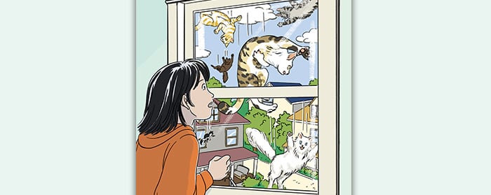 The Day It Rained Cats