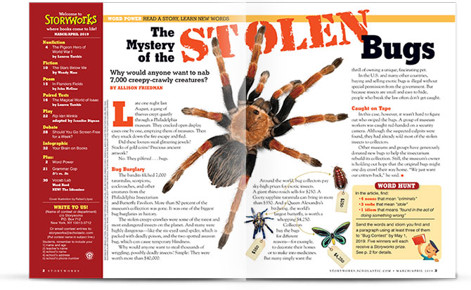The Mystery Of The Stolen Bugs Vocabulary Activities Scholastic Storyworks Magazine