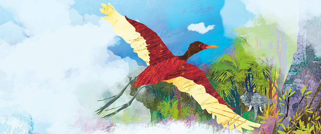 Illustration of a colorful bird flying over beautiful forest as an elephant peeks out