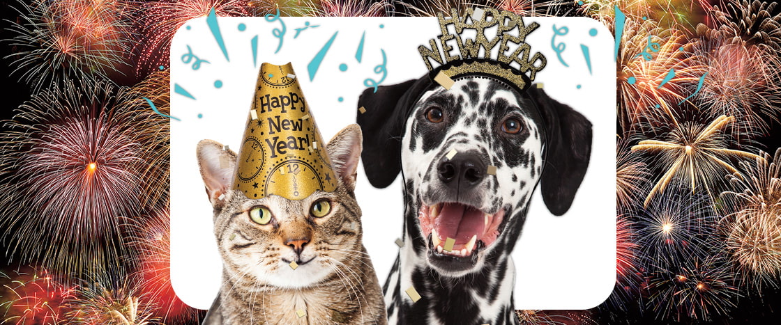 Image of a cat and dog in party hats against a fireworks background