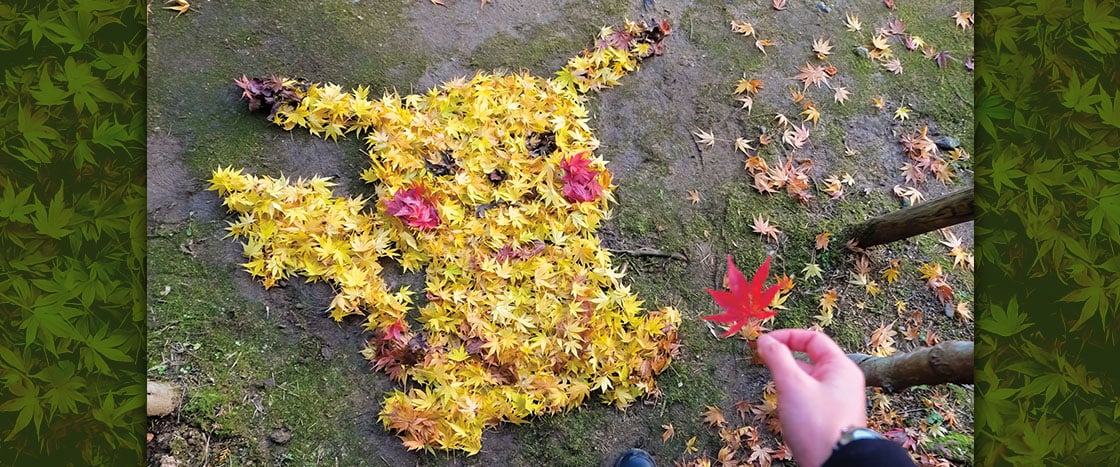 A person holds a red maple leaf above a Pikachu shape arranged from fallen autumn leaves on the ground