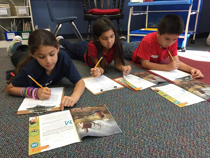 Mentor Texts, Grammar, and TEKS: A Success Story